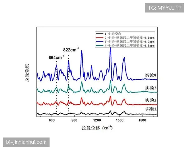 篮下干扰球的规则解析与判定标准说明 篮下干扰球的规则解析与判定标准说明